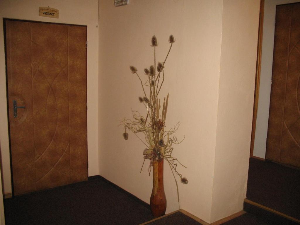 Kajovska Hospoda Bagian luar foto